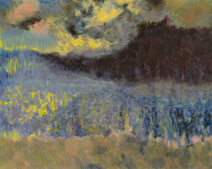 Le bleu des mouches à feu